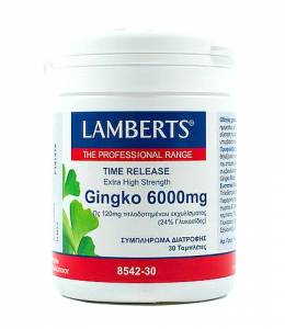 Lamberts Ginkgo Biloba Extract 6000mg 30 ταμπλέτες
